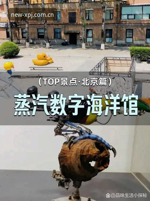 新莆京官方互动乐园实用指南：解锁数字娱乐新体验的必备知识