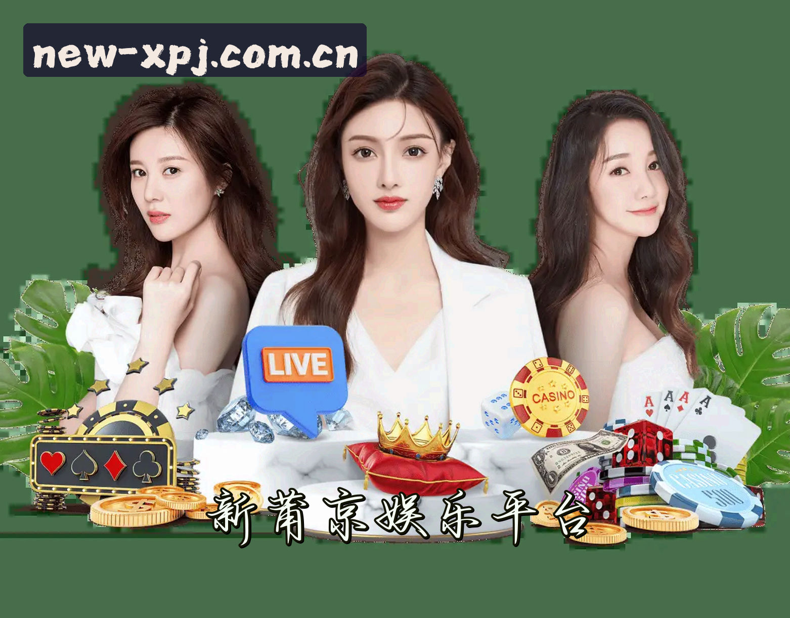 关于我们 - 新莆京(XPJ)官方网站 · 尽享精彩娱乐 · K9P2